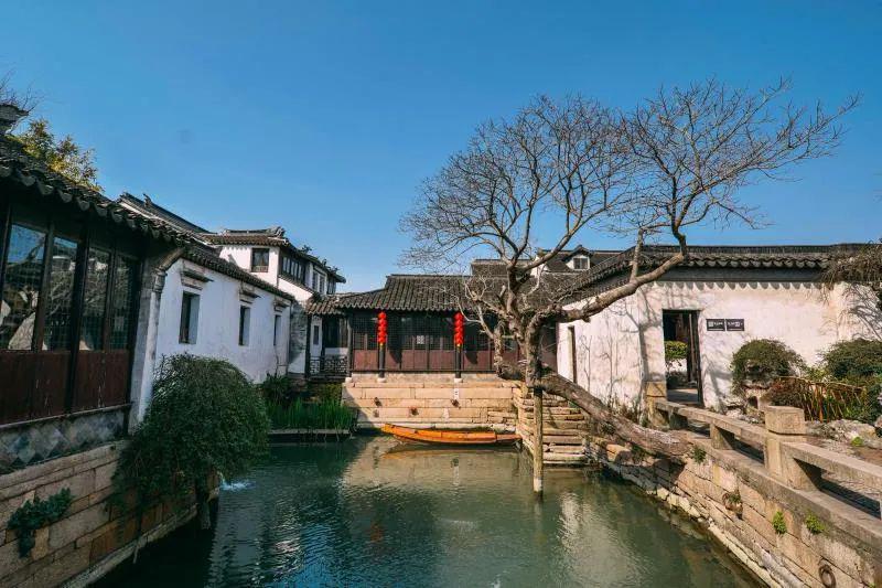 逃离白鸽之森